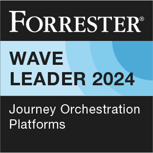 orrester_Wave_leader_2024